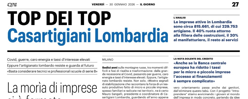 Immagine articolo professionale